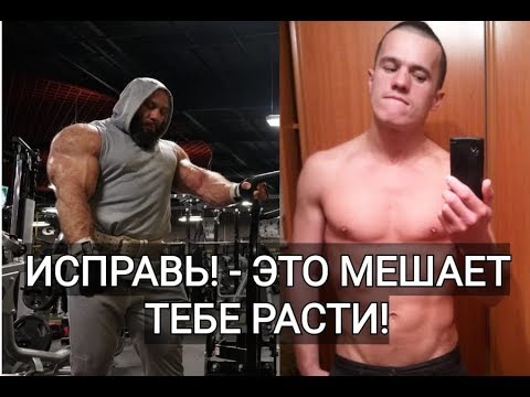 Видео: 6 ФАКТОРОВ ДЛЯ ТВОЕГО МОЩНОГО ПРОГРЕССА!