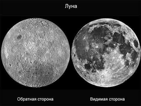 Видео: Чудо со смоковницей