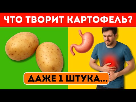 Видео: Что творит КАРТОФЕЛЬ с организмом человека? 99% людей даже не знают об этом...