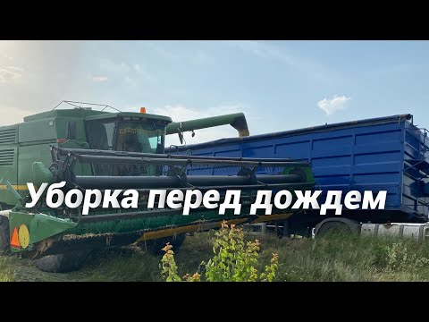 Видео: Продолжаем убирать озимые/ уборка 2021
