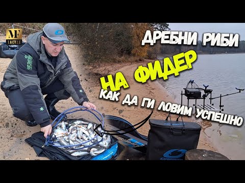 Видео: Риболов на дребни риби с фидер през есента - Feeder Fishing