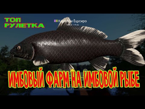 Видео: Русская рыбалка 4 🌎Ловись рыбка)))🐠Розыгрыш Reef Noble F30(17.2кг) 🔥Снасти,премы и гн в рулетке!🔥