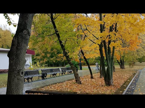 Видео: Добро Пожаловать в Золотую Осень 2025.