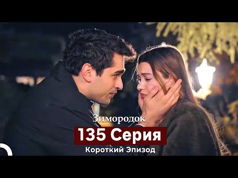 Видео: Зимородок 135 Cерия (Короткий Эпизод) (Русский дубляж)