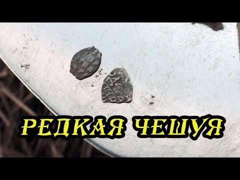 Видео: Коп по старине! Редкая чешуя! много находок