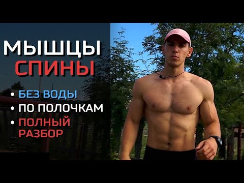 Видео: СПИНА. Неизбежный прогресс. ЭФФЕКТИВНАЯ ПРОКАЧКА всего мышечного массива спины.