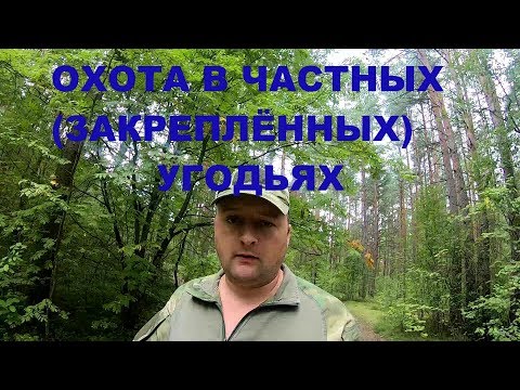 Видео: Охота в частных угодьях. Для каких целей юр. лицо арендует охот.хозяйство?