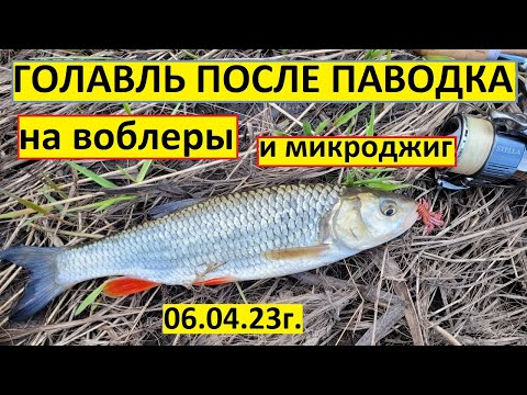 Видео: Лучшие приманки на ГОЛАВЛЯ весной! Как ловить ГОЛАВЛЯ весной на спиннинг! РЫБАЛКА в апреле! Голавль!