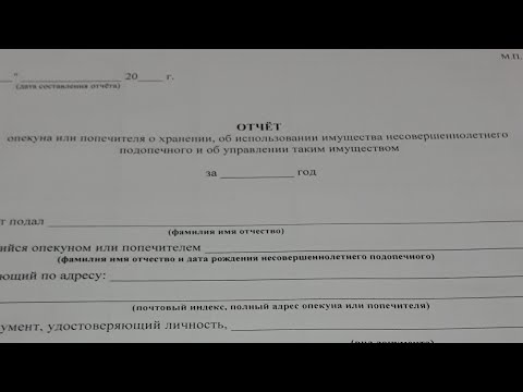Видео: VLOG 227 Отчет опекуна - Что это такое ?