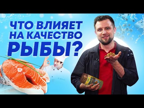 Видео: Качество рыбы ВЫРАЩЕННОЙ на РЫБОВОДНОЙ ФЕРМЕ в УЗВ