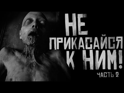 Видео: НЕ ПРИКАСАЙСЯ К НИМ! Часть 2. Страшные истории на ночь. Страшилки на ночь.