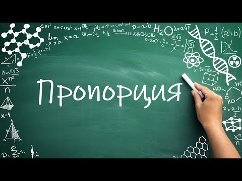 Видео: Отношения и Пропорции (6 класс) #математика #6класс #пропорция