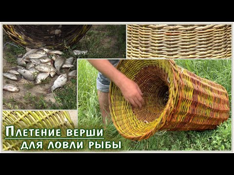 Видео: Плетение верши для ловли рыбы.