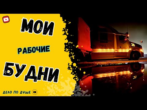 Видео: Надо всюду успеть. Дальнобой по Канаде. Внеплановый выходной