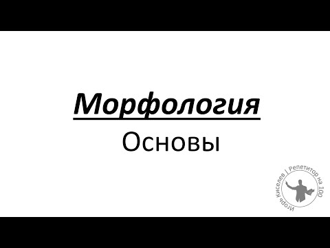 Видео: Морфология. Основы.
