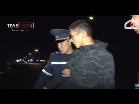 Видео: Унаасын таштап, инспектордон качкан айдоочу / Таластагы рейд / ТЕЛЕКҮЗӨТ