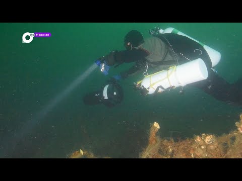 Видео: Морская / Что покоится на дне