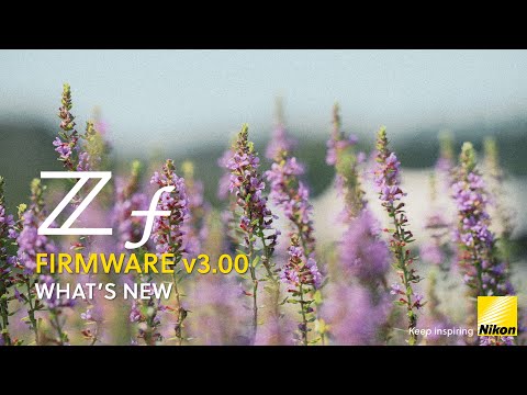 Видео: Nikon Zf | Версия прошивки 3.00 | Что нового