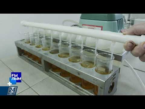 Видео: Ғылым І Топырақтың құрамы мен құнарлығы қалай анықталады?