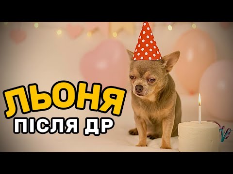 Видео: Лёня після Дня народження