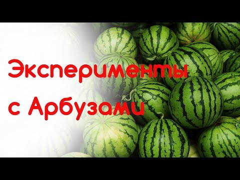 Видео: Эксперименты с арбузами и дынями