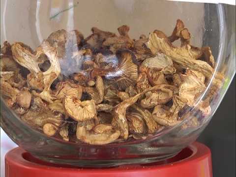 Видео: Ранок-панок. Марія Пахолок про довголіття