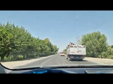 Видео: Шамалды-Сай