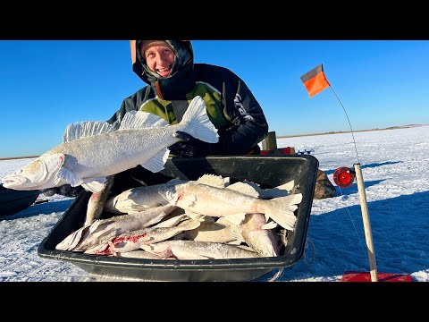 Видео: ОСОБО ВПЕЧАТЛИТЕЛЬНЫМ РЫБАКАМ НЕ СМОТРЕТЬ! Мясо на ГРИЛЕ и МНОГО РЫБЫ! Рыбалка с НОЧЕВКОЙ на СУДАКА!