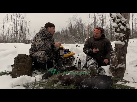 Видео: Охота на бобра #35.2 \ Проверка капканов / beaver hunting