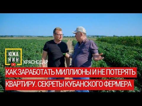 Видео: Как заработать миллионы и не потерять квартиру. Секреты кубанского фермера.