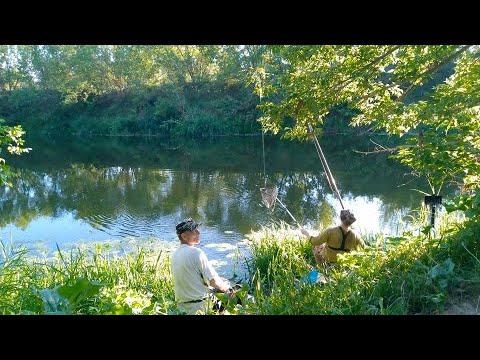 Видео: ДИКИЙ КЛЁВ КРУПНОЙ ПЛОТВЫ НА КУКУРУЗУ. Ловля плотвы в жару. Рыбалка на поплавок на плотву.