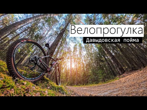 Видео: Велопрогулка по Давыдовской пойме 04.10.2025