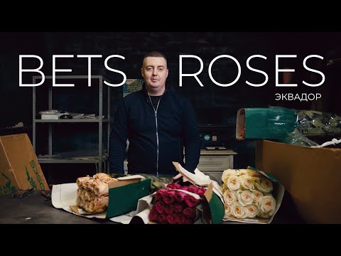 Видео: Розы из Эквадора | Плантация Bets Roses