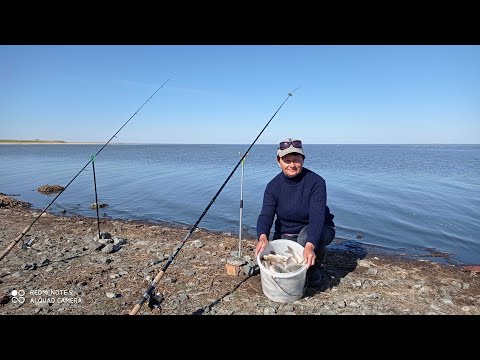 Видео: ОЗ  УЕЛГИ! РЫБАЛКА НА КАРАСЯ В МАЕ. ФИДЕР!