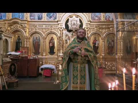 Видео: ПРП. СЕРГИЙ РАДОНЕЖСКИЙ. Отец Савва (Мажуко).