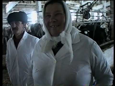 Видео: 1996 рік, село Загінці Деражнянського району