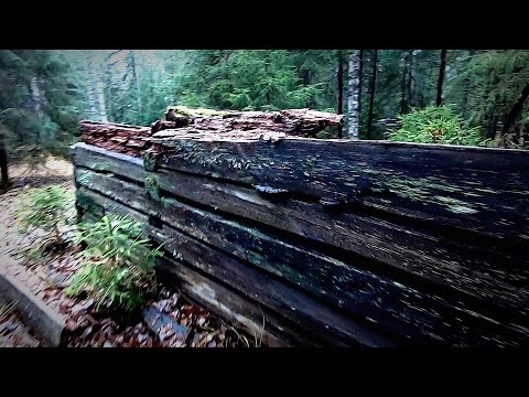 Видео: ТАЙНЫ ПРОШЛОГО. Вожегодский лагпункт НКВД. Лазарет среди тайги. Отсюда не возвращались... 30.10.2022
