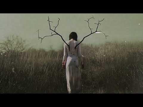 Видео: ± Blessed Mane ± - Улетай