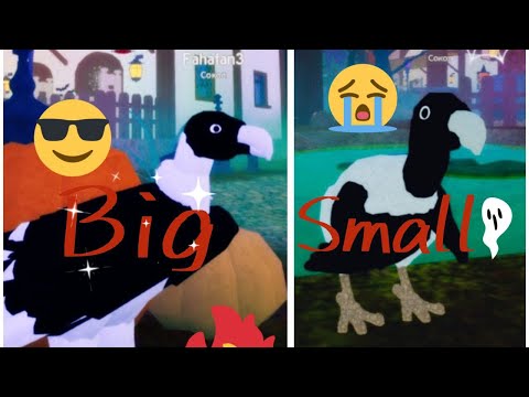Видео: играю в игру Feather Family (РОБЛОКС ) Хеллоуин 🎃👻