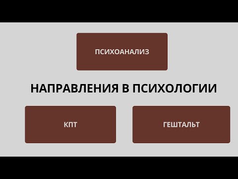 Видео: Подкаст№5 Направления в психологии. Психоанализ/КПТ/Гуманисты и др. Ксения Обезьянова/Елена Долгих