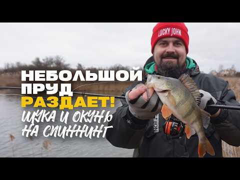 Видео: Окунь и Щука на Спиннинг Зимой на Деревенском Пруду
