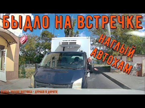 Видео: Быдло на встречке #196! Подборка на видеорегистратор!