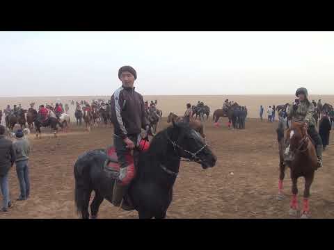 Видео: Қожатоғай көкпар 2 бөлім