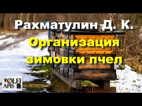 Видео: #Рахматулин Д.К. Организация зимовки пчел