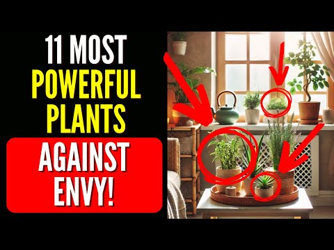 Видео: Хотите избавиться от зависти? Посадите эти 11 растений — и покончите с ревностью за считанные сек...
