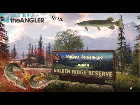 Видео: Call Of The Wild  The Angler.№12 Закрываю щуку алмазного ранга.