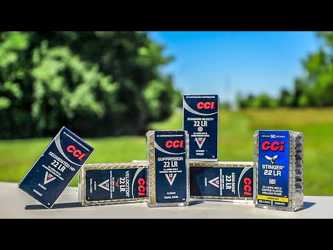 Видео: Лучшие боеприпасы CCI 22LR?
