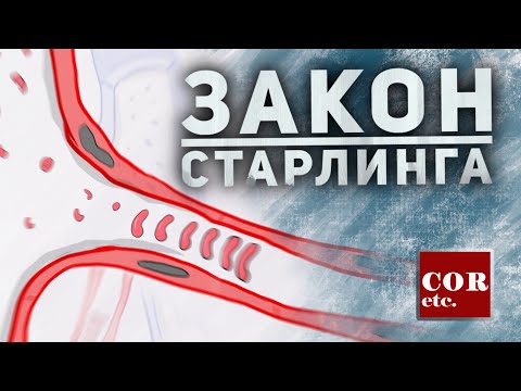Видео: Закон Старлинга для капилляра.