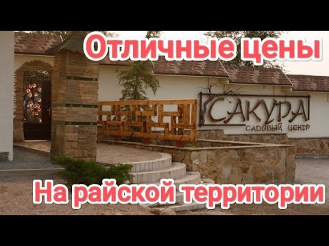 Видео: Садовый центр сакура