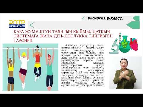 Видео: ТАЯНГЫЧ ЖАНА КЫЙМЫЛДАТКЫЧ СИСТЕМАСЫ СКЕЛЕТ